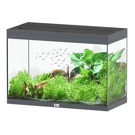 Aquatlantis Aquarium Splendid Ultra 80