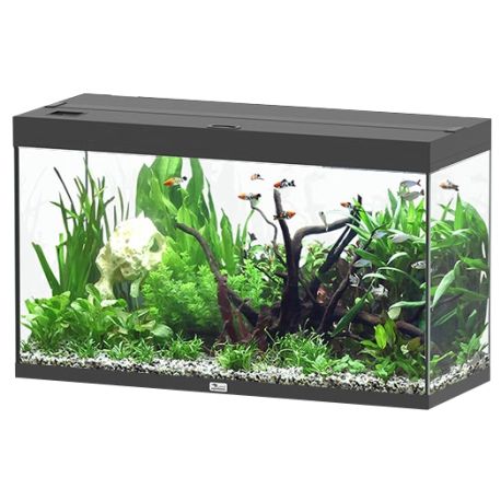 Aquatlantis Aquarium Splendid Ultra 100
