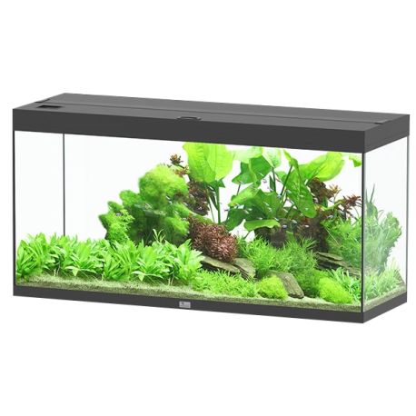 Aquatlantis Aquarium Splendid Ultra 120x40
