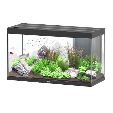 Aquatlantis Aquarium Sublime Ultra 120x50