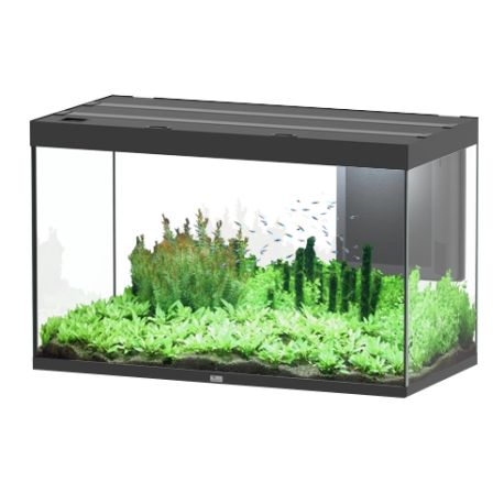 Aquatlantis Aquarium Sublime Ultra 120x60