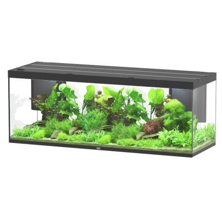 Aquatlantis Aquarium Sublime Ultra 200x70