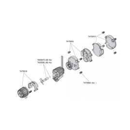 EHEIM rotor de pompe de rechange complet 60Hz 7605580
