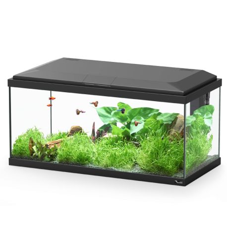 Aquatlantis aquarium Explorer Brussels 75.7x36.7x38 cm