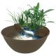 Superfish Mini Pond Marron