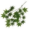 Terra Della Plante suspendue Cannabis vert 65x40x5cm