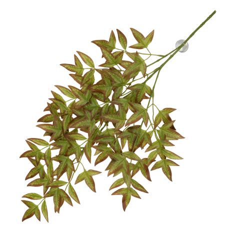 Plante suspendue Nandina vert 65x35x1,5cm