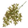 Terra Della Plante suspendue Nandina vert 65x35x1,5cm