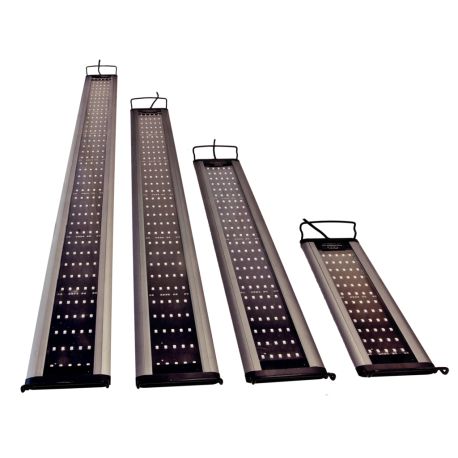 AquaMedic Sunbeam 60