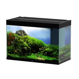 Ciano Aquarium Emotions Nature Pro 80