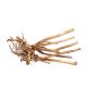 Wood Stumps au kg