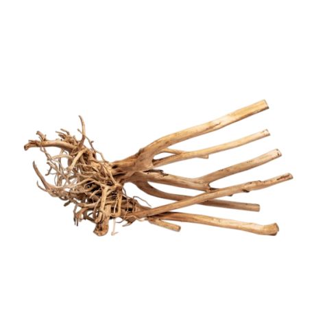 Wood Stumps au kg