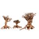 Décor bois naturel - Mammoth Bonsai M- 20 x 25cm