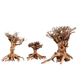 Décor bois naturel - Mammoth Bonsai M  - 20 x 25cm
