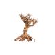 Décor bois naturel - Mammoth Bonsai M- 20 x 25cm