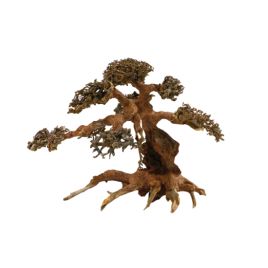 Artisanat en bois flotté - Aqua Bonsai M (30x23cm)