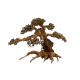 Artisanat en bois flotté - Aqua Bonsai L (40x30cm)