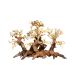 Artisanat en bois flotté - Forest Bonsai S (30x16x20cm)