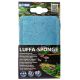 Hobby Luffa Sponge