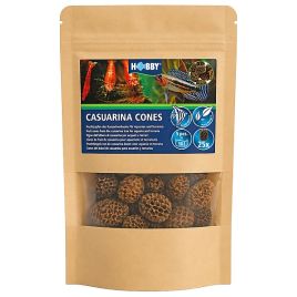 Hobby casuarina cones 25 pièces