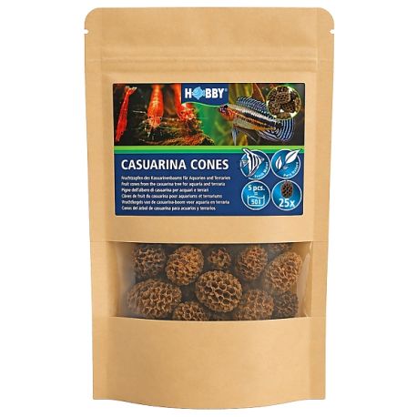 Hobby casuarina cones 25 pièces