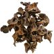 Hobby Jungle star flower 25 pièces