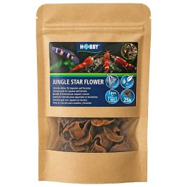 Hobby Jungle star flower 25 pièces
