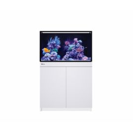 Reef Frame 250