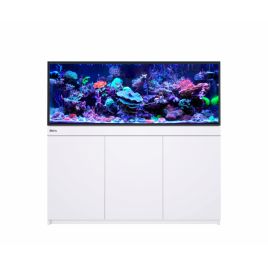 Reef Frame 500