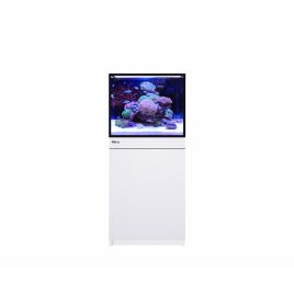 Reef Frame Max 170