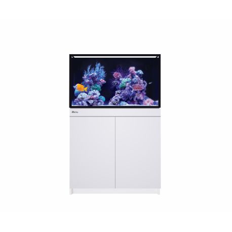 Reef Frame Max 250