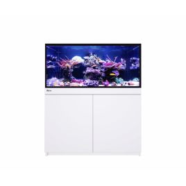 Reef Frame Max 350