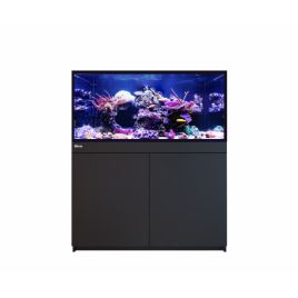 Reef Frame Max 350