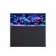 Reef Frame Max 500