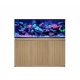 Reef Frame Max 500