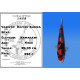 Koi Japon Nisai Doitsu Showa eleveur Kawakami 30-35 cm
