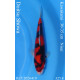 Koi Japon Nisai Doitsu Showa eleveur Kawakami 30-35 cm