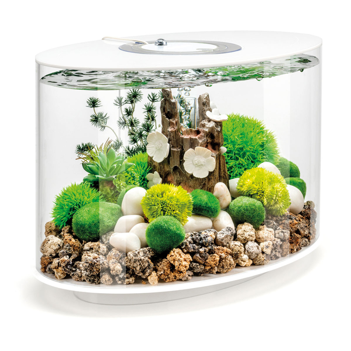 BiOrb LOOP aquarium Vente en ligne chez Poisson d'Or Aquariofil