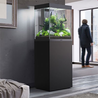 Aquatlantis aquariums Tower - Vente en ligne Poisson d'Or ...