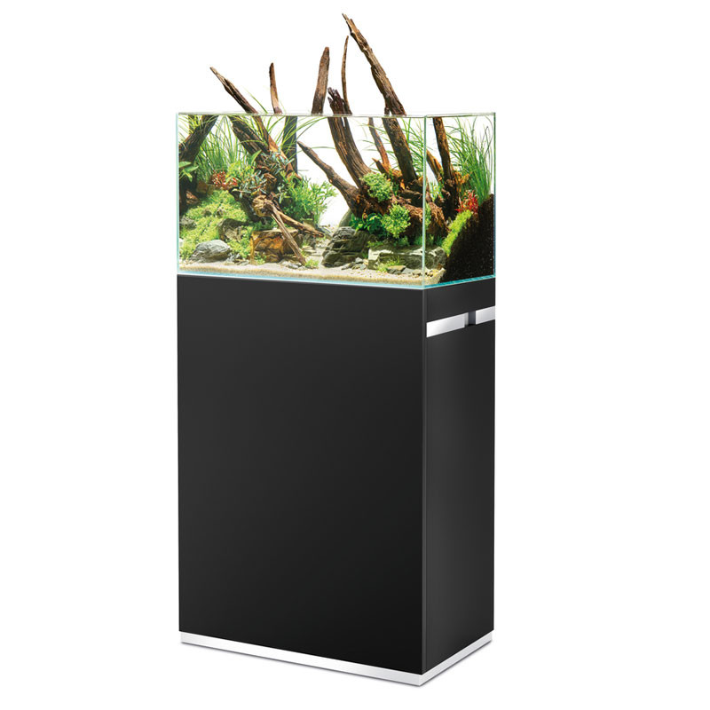 Oase aquariums ScaperLine Vente en ligne chez Poisson d