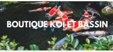 Boutique Koï & Bassin